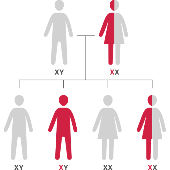 hemophilia a carrier detection test